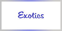 Action Exotic series