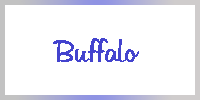 Instroke Buffalo cases