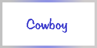 Instroke Cowboy cases